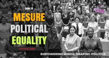 Measuring Political Equality: Tools, Challenges, and Pathways to Fair Representation