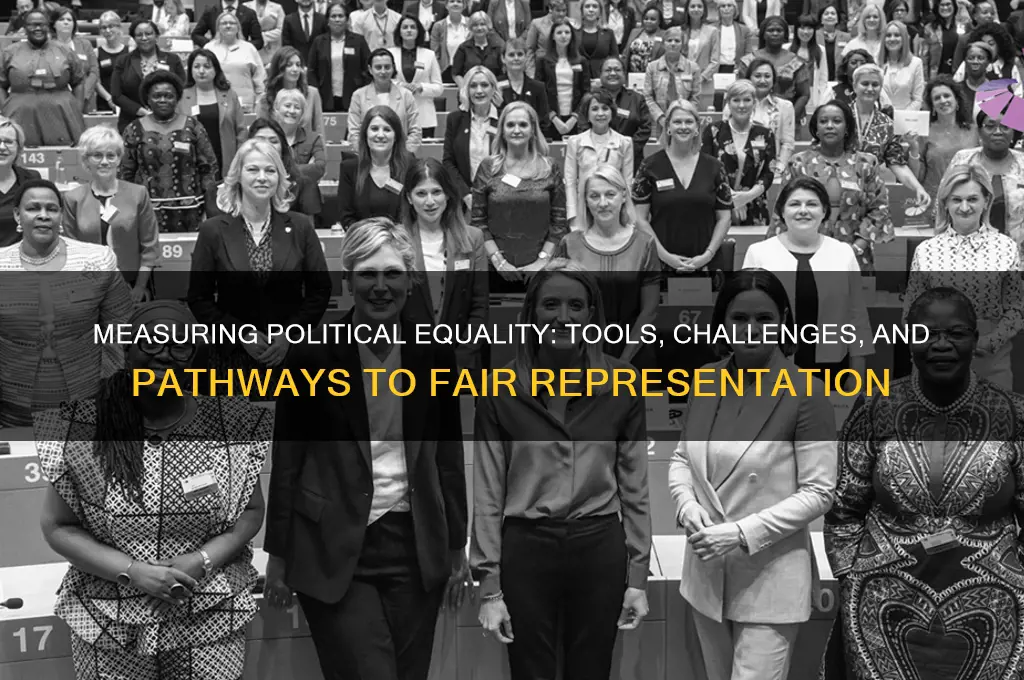 how to mesure political equality