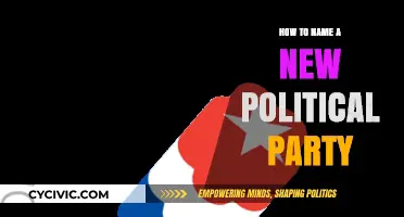 Crafting a Powerful Identity: Naming Your New Political Party Strategically