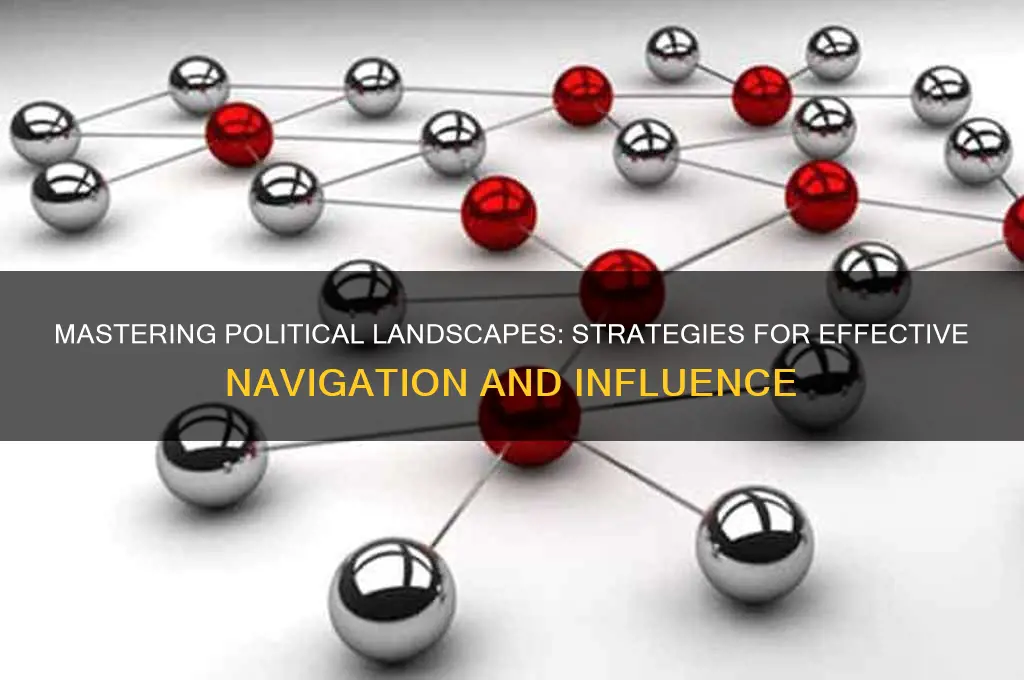 how to navigate politics