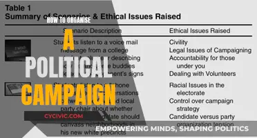 Strategizing a Political Campaign: A Guide to Success