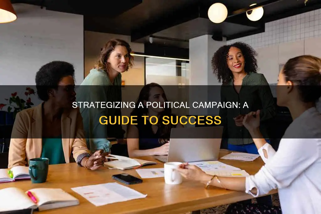 how to organise a political campaign