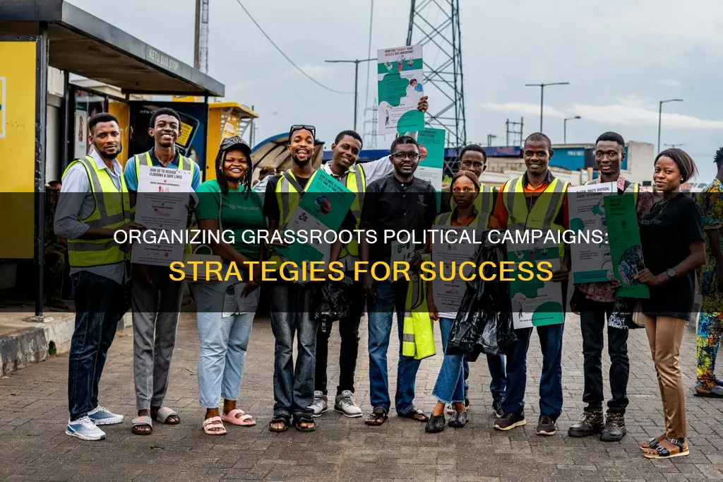 how to organize a grassroots political campaign