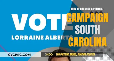 Organizing a Political Campaign: South Carolina Strategy