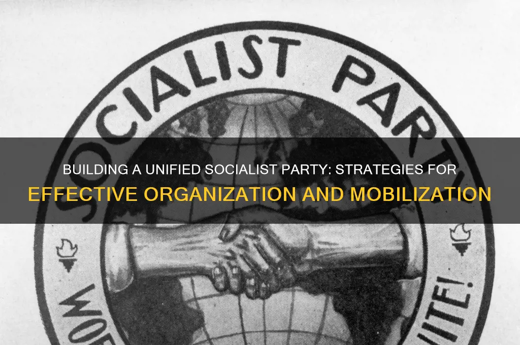 how to organize political party socialism