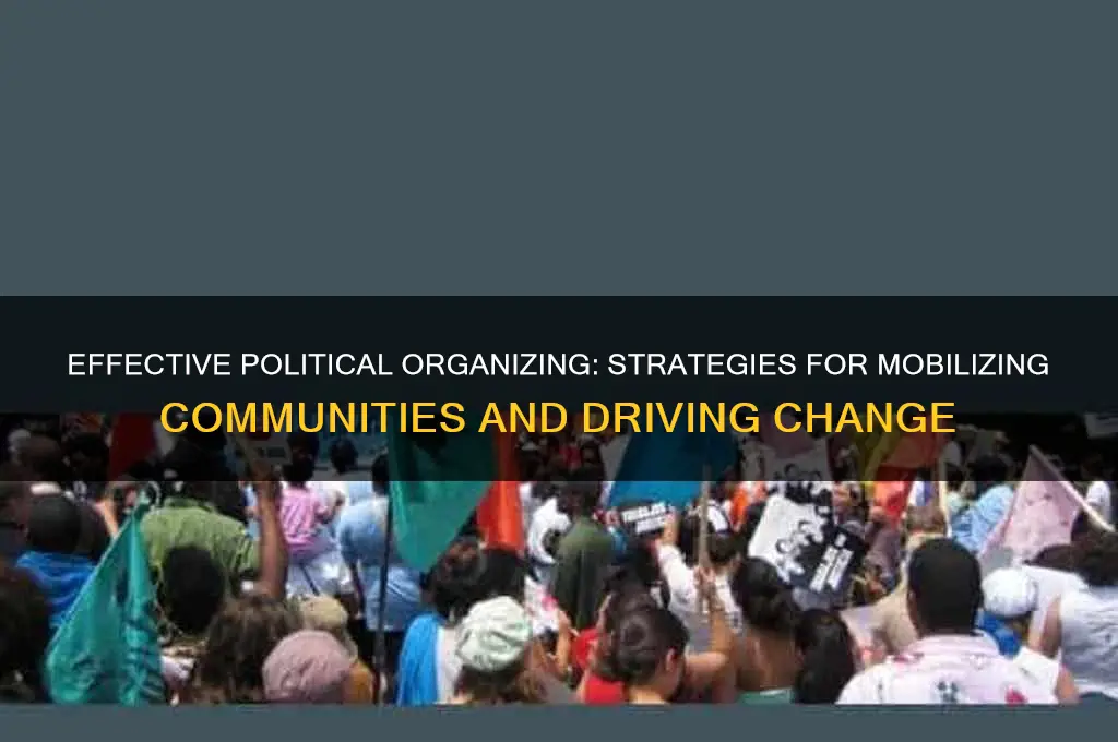 how to organize politically