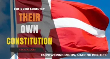 Global Constitutions: A Comparative View