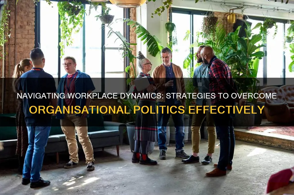 how to overcome organisational politics