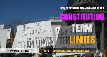 Extending Term Limits: Overturning Constitutional Amendments