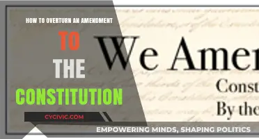 Amending the Constitution: A Step-by-Step Guide