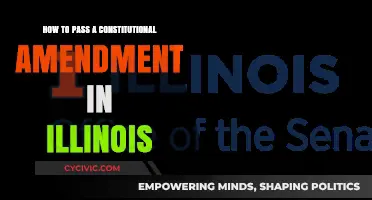 Illinois Constitution Amendments: The Process Explained