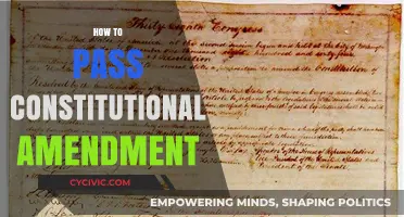 The Amendments' Challenge: Passing Constitutional Changes
