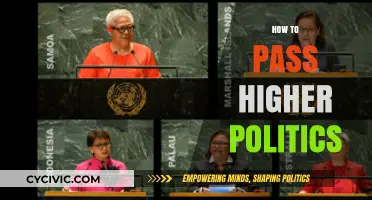 Mastering Higher Politics: Essential Tips for Exam Success and Top Grades