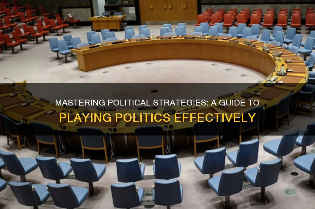 how to play politics book