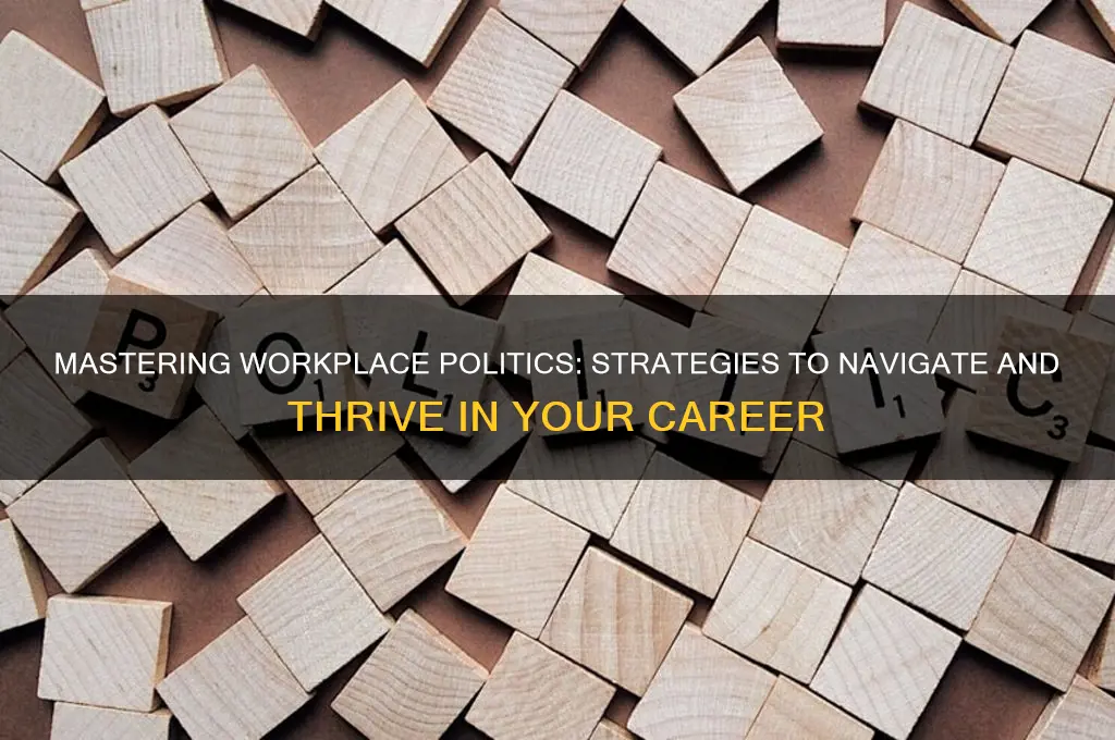 how to play politics work