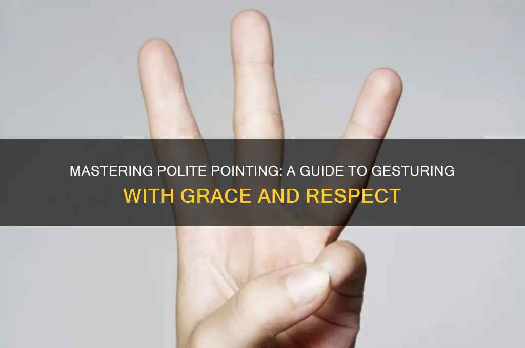 how to point politely