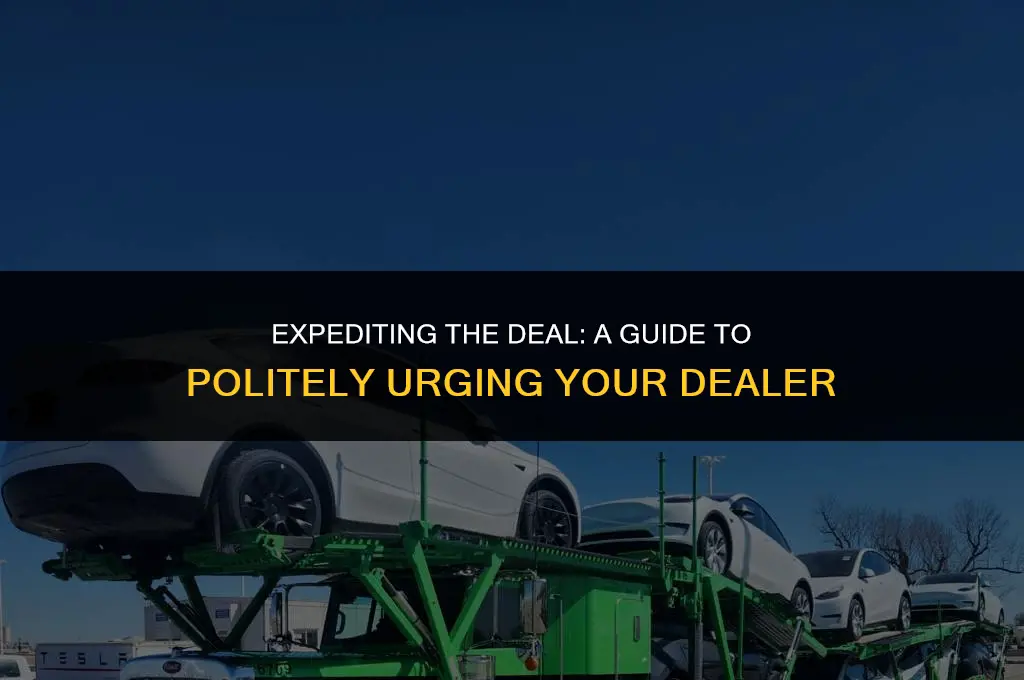how to politely ask a dealer to hurry