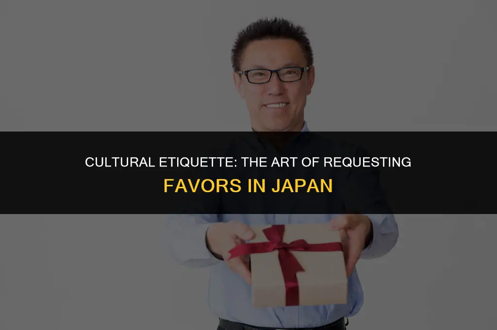 how to politely ask a favore injapanese