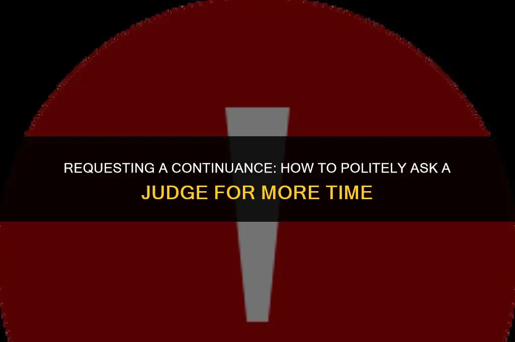 how to politely ask a judge for more time