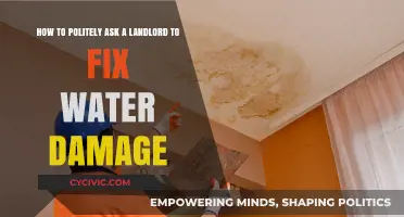 Addressing Water Damage: A Polite Guide for Tenants to Landlords
