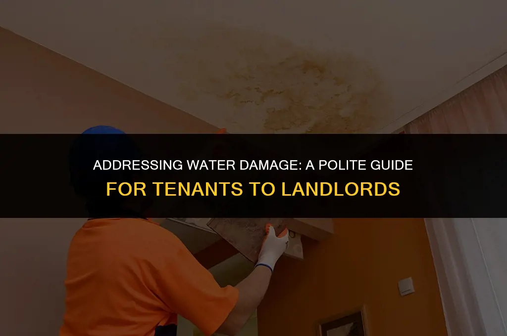 how to politely ask a landlord to fix water damage