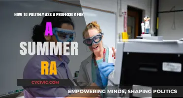 Crafting a Polite Request for a Summer Research Assistantship