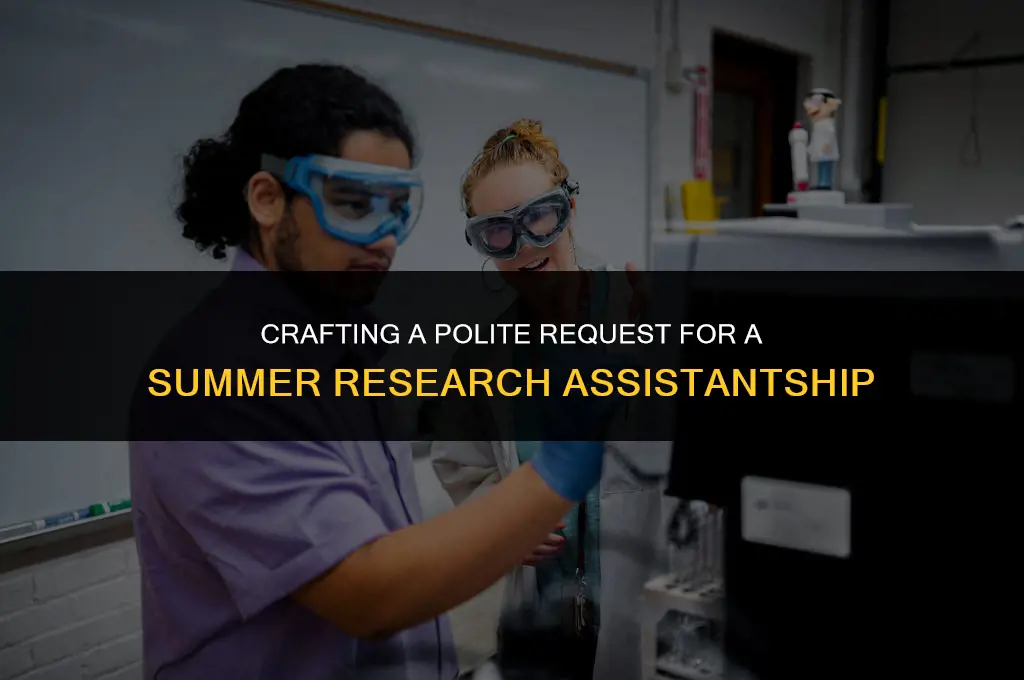 how to politely ask a professor for a summer ra