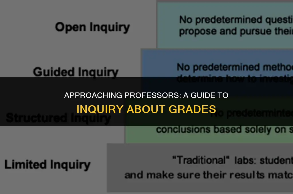 how to politely ask a question about grade to professor
