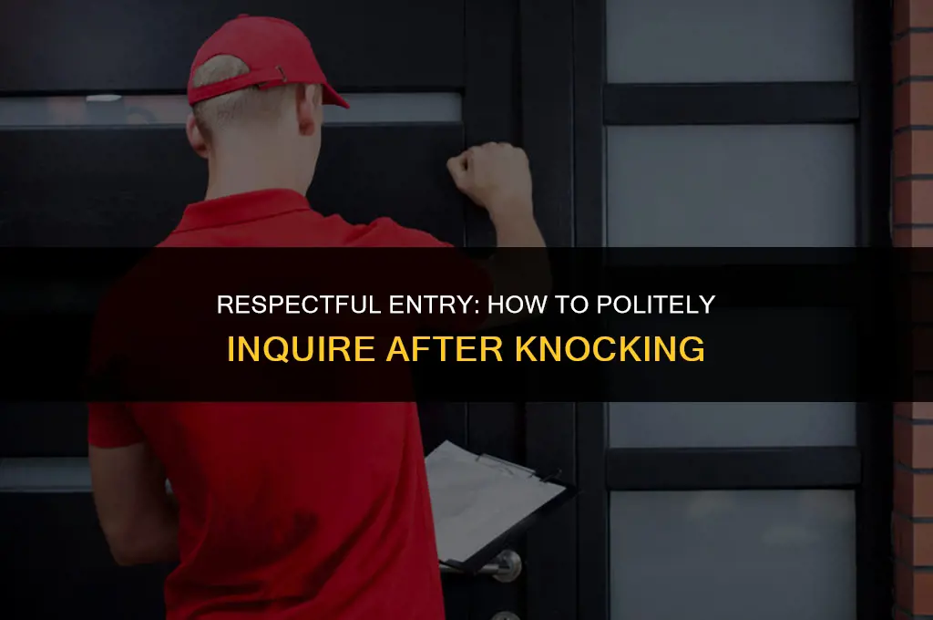 how to politely ask after knocking if i didnt diaturb
