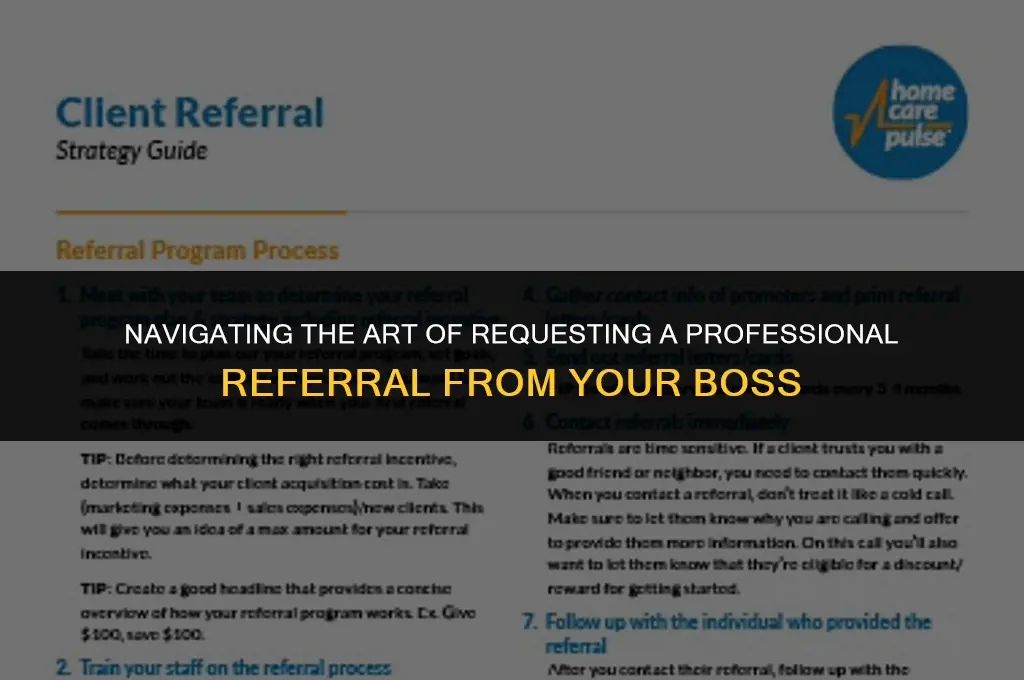 how to politely ask boss for referral