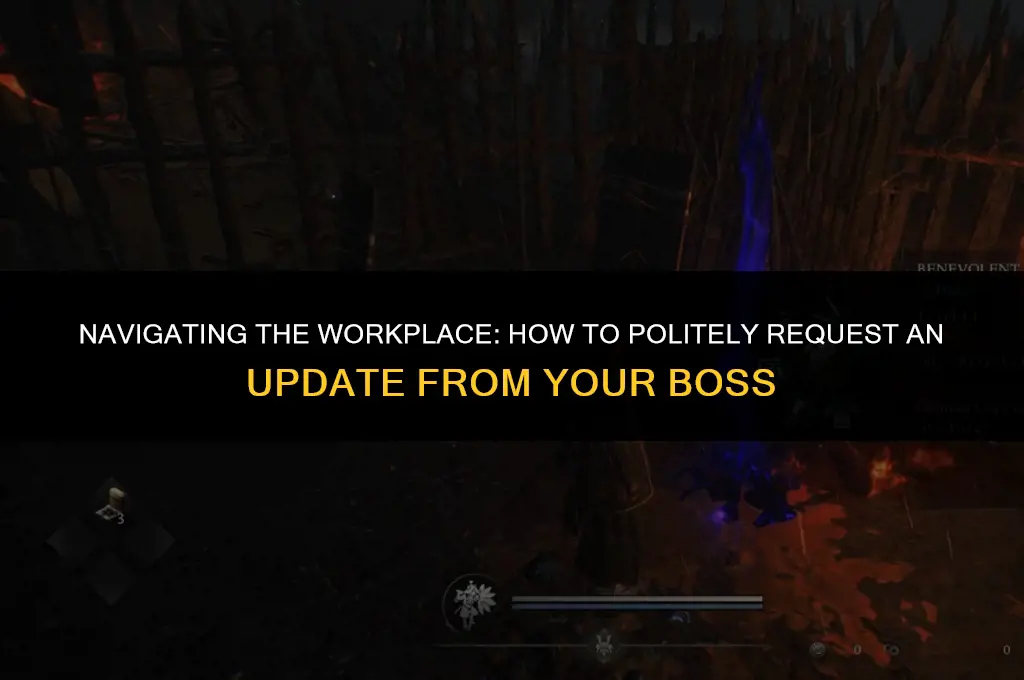 how to politely ask boss for update