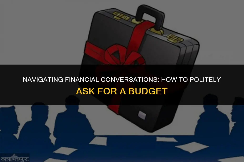 how to politely ask for a budget