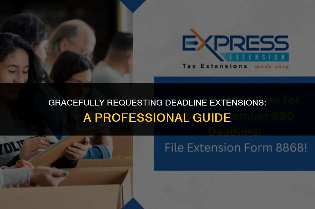 how to politely ask for a deadline extension sample