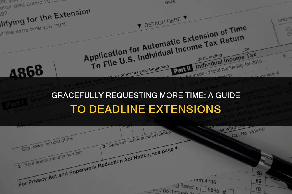 how to politely ask for a deadline extension