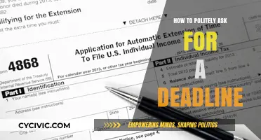 Gracefully Requesting Time: The Art of Polite Deadline Extensions
