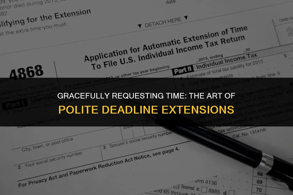 how to politely ask for a deadline