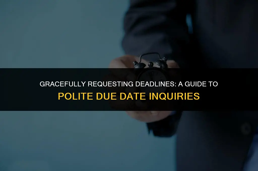 how to politely ask for a due date