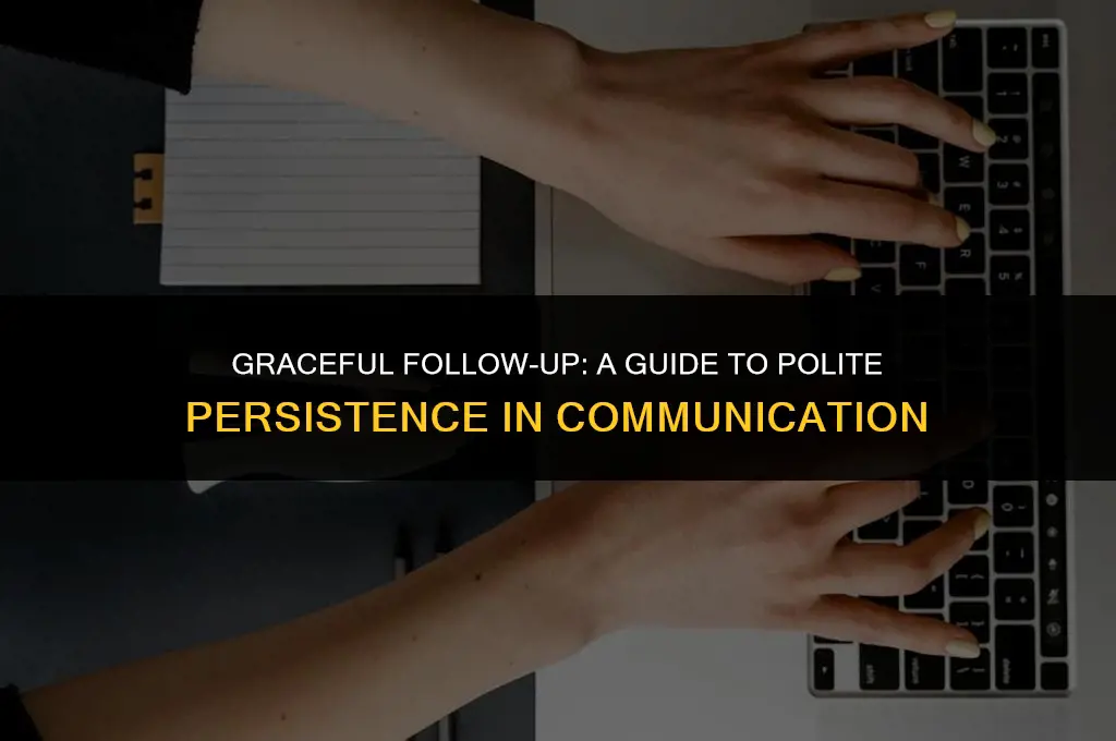 how to politely ask for a follow up