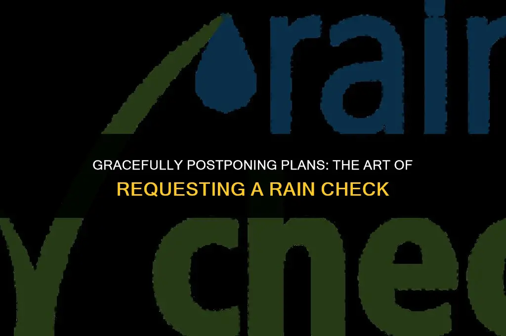 how to politely ask for a rain check