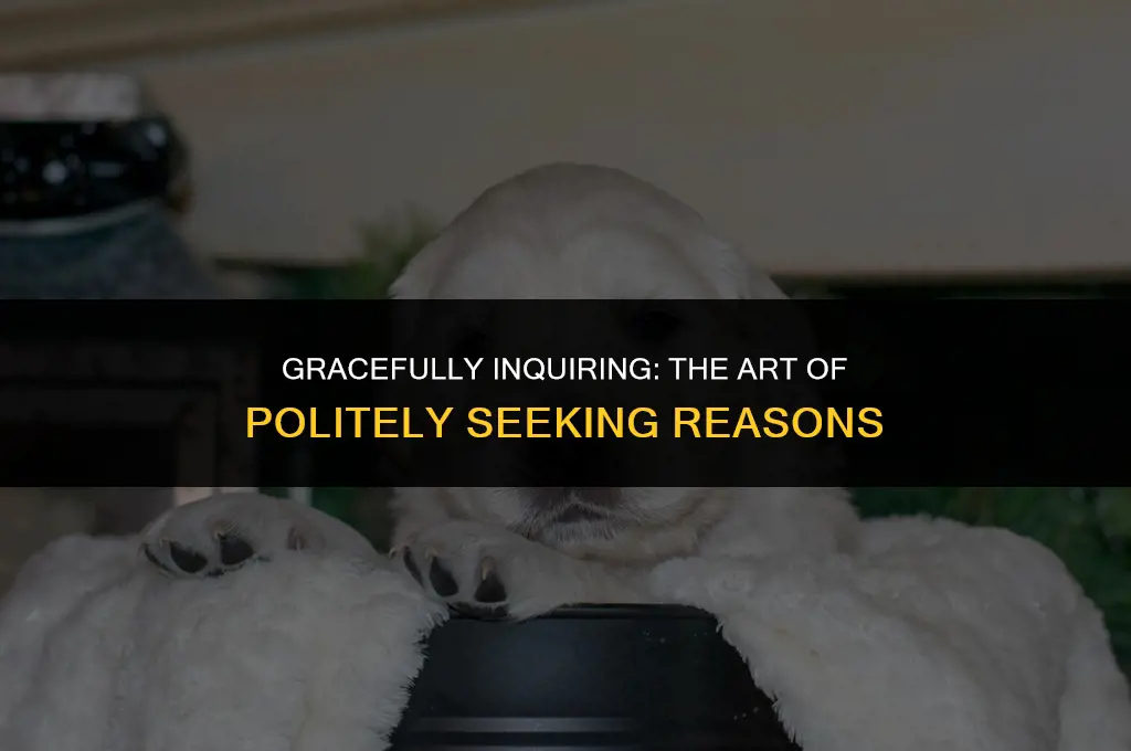 how to politely ask for a reason