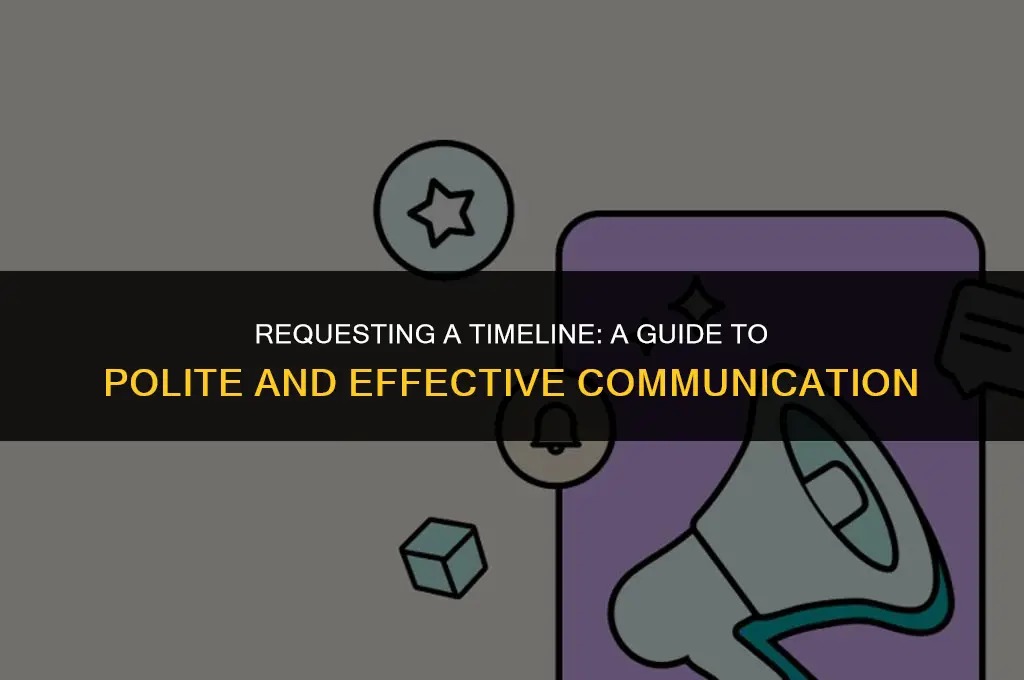 how to politely ask for a timeline