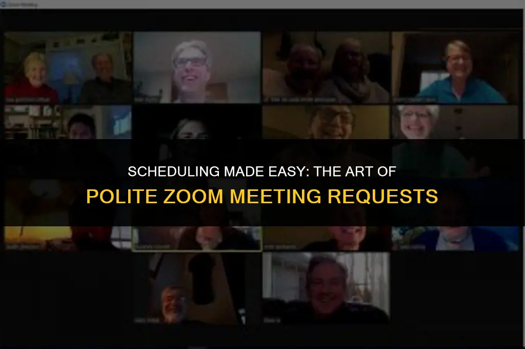 how to politely ask for a zoom meeting