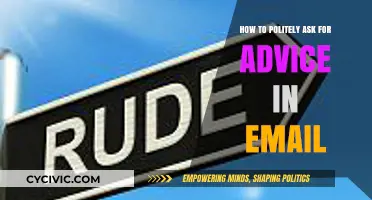 Seeking Guidance with Grace: Crafting Polite Advice Requests in Emails