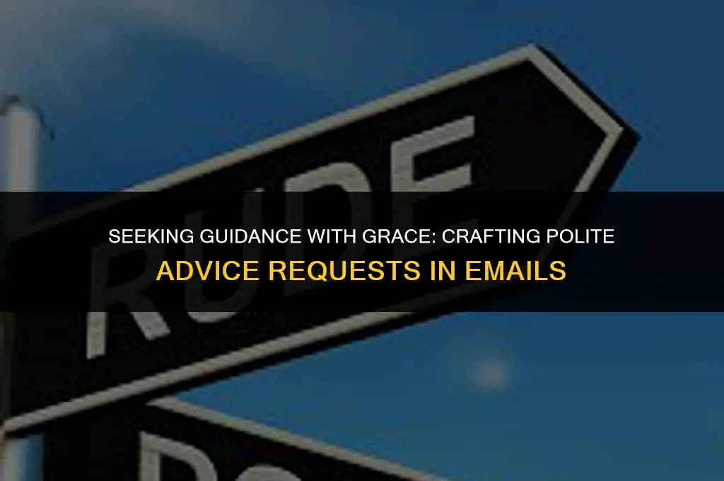 how to politely ask for advice in email
