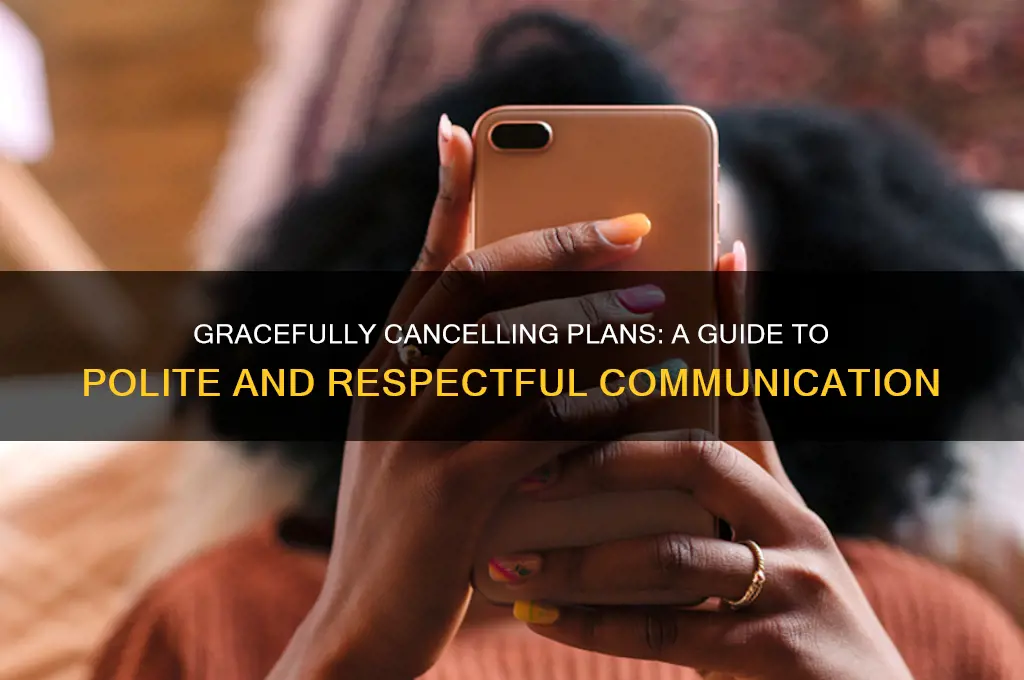 how to politely cancel plans