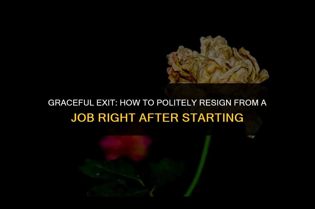 how to politely resign from a job right after starting