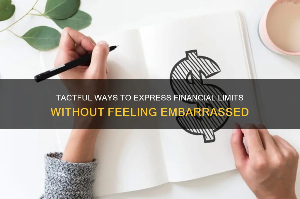 how to politely say i can