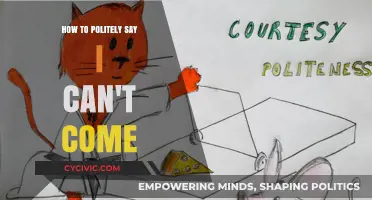Graceful Declinations: Articulating 'I Can’t Come' with Politeness and Tact