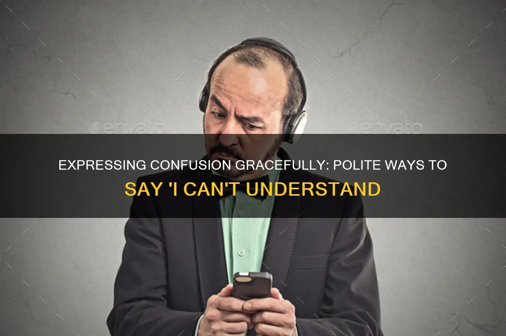 how to politely say i can