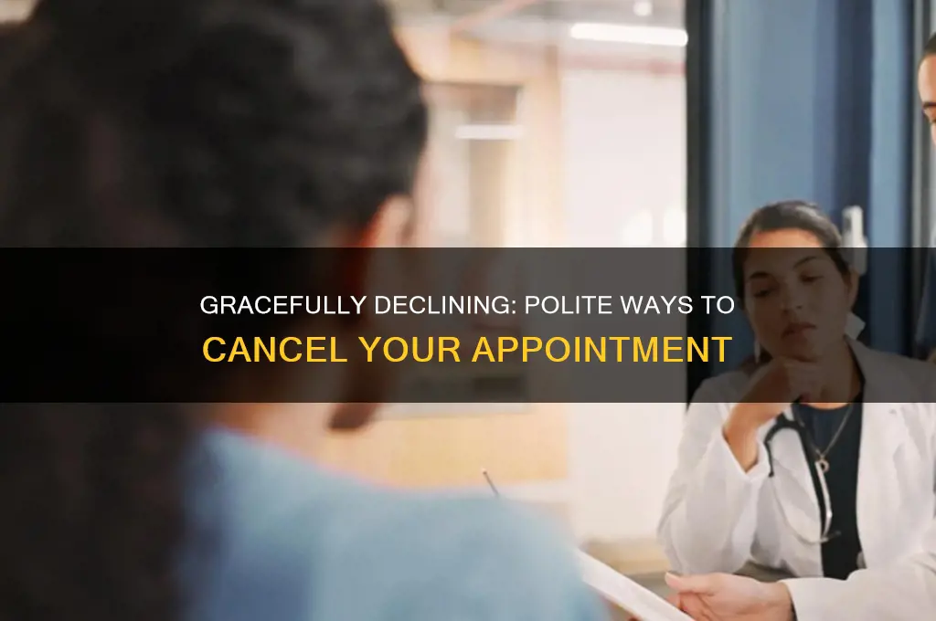 how to politely say you can